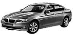 BMW F10 P307D Fault Code